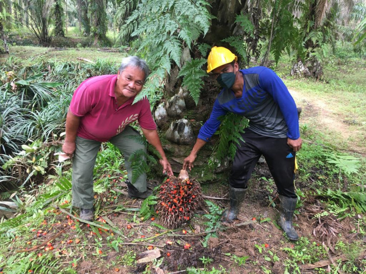 A smallholder and farm worker show freshly harvested oil palm fruits on a plantation near Sandakan in Sabah, Malaysia on Jan. 13, 2022.
