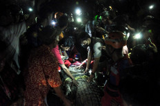 Sulawesi's tyre-bound crocodile finally freed after five years