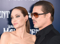 Pitt sues Jolie over sale of French vineyard where they married 