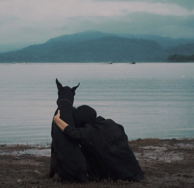 Dogs: A still image from Inis' music video for 
