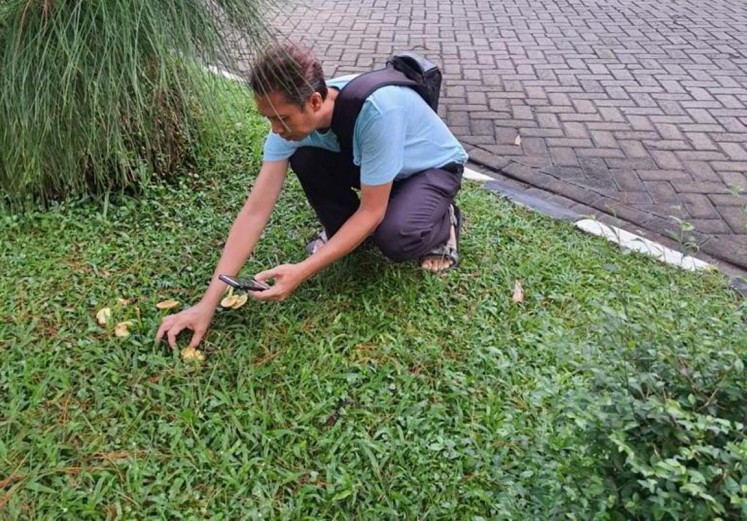 Mushroom hunting: Ferry Augustinus went mushroom foraging in a residential area in Sukaraja, Bogor, West Java. (Courtesy of Ferry Augustinus)