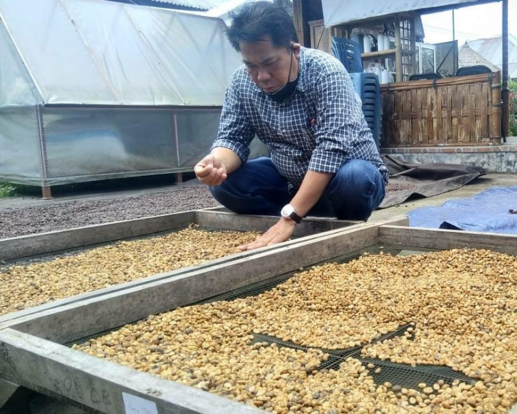 Sun-drying coffee beans to obtain water content of 12.5 percent.