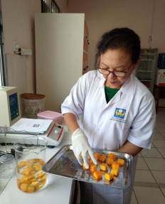 Applying an edible coating to fresh-cut mango.