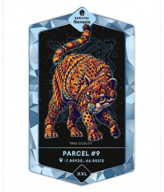 How to save the Amazon? Brazil company says NFTs are the answer