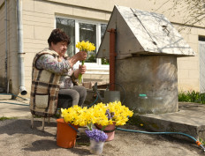 In embattled Ukraine, spring flowers take on patriotic hues