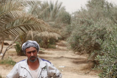 A local farmer speaks in a palm and olive grove in the 'green belt' area of Iraq's central city of Karbala, on March 21, 2022.
