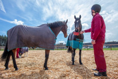 A prisoner feeds two horses at the 'Horses for Hope' Equine centre at the Castlerea Prison, in Co Roscommon Ireland, on April 20, 2022.