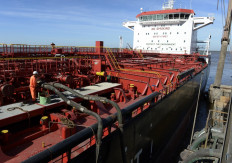 A worker of the Norient Saturn vessel checks the pipes while filling up the tank with soy bean oil, at the General San Martin port, on the Parana river banks near San Lorenzo, Santa Fe, some 350 km northwest of Buenos Aires, Argentina on May 30, 2013. Agricultural producers in Argentina --the world's largest exporter of soybean oil and meal and third in corn--, who have a long dispute with the government taxes on grain export, announced a seven-day strike which will bring exports to a standstill. 