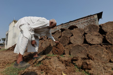 Dung fuel: India taps new energy cash cow