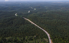 Deforestation-free label requires clarity on forest terminology