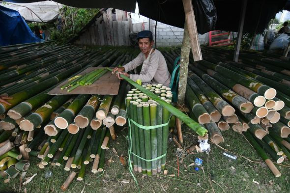 Spiced up: Preparing bamboo for roasting nasi jaha, the traditional roasted, spiced, sticky--rice dish beloved in North Sulawesi (Antara/Mohamad Hamzah)