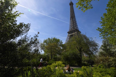 Parisians up in arms over plan to fell trees near Eiffel Tower