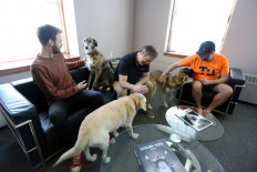 Johan Van Hulle (L-R), Dave McMullen and Bill Dicke hold a meeting with their dogs at Tungsten Collaborative May 5, 2022 in Ottawa, Canada.