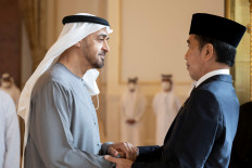 New UAE president MBZ meets world leaders 