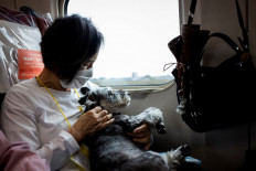 Furry fun: A passenger pets her dog onboard a Shinkansen (bullet train) during a one-hour special tour on Saturday from Tokyo to the resort town of Karuizawa, Nagano.