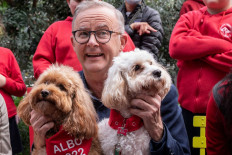 Leader of the Australian Labor Party Anthony Albanese meets with Labor candidate for Reid, Sally Sitou and supporters after winning the general election at Marrickville Library and Pavilion in Sydney on May 22, 2022. 