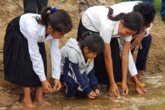 Hundreds of endangered baby giant turtles released into Cambodian river