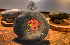 Solid style: 'Kepik' ('Ladybug', 2021), one of the paintings by Duki Noermala that turns stone into art. (JP/Sylviana Hamdani)