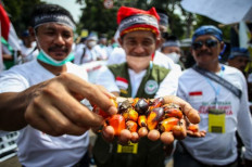 Sustainable palm oil: Market leakage remains a challenge