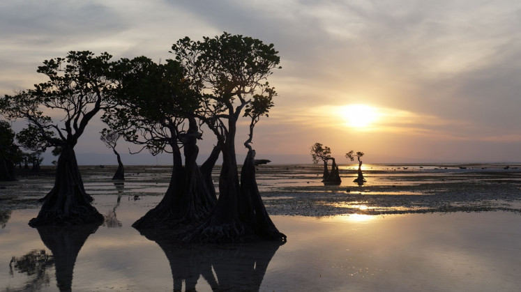 Mangroves are silhouetted against the setting sun at Walakiri Beach in East Sumba, Sumba, East Nusa Tenggara, in this file photo from June 2018. (JP/Liza Josephine)