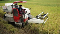 Agriculture groups warn of farming land loss