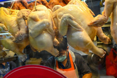 Indonesia could set up farm in Batam to export fresh chickens to Singapore