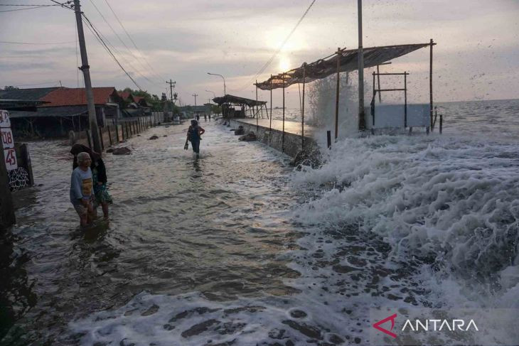 Worst tidal flooding in decade hurts Java's fish farmers - Economy ...