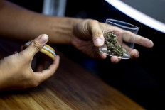 Legalized: A customer holds up a piece of cannabis at the Highland Cafe on June 9, after it was removed from the narcotics list under Thai law, in Bangkok, Thailand.