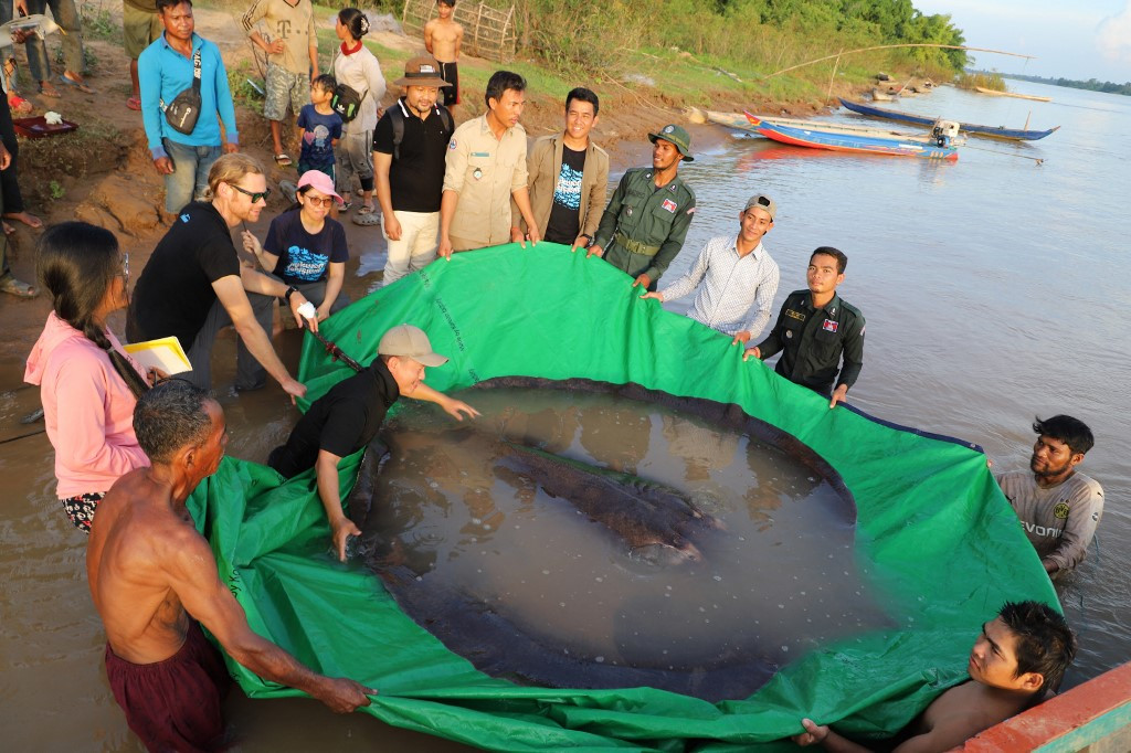 Cambodian large fishing net