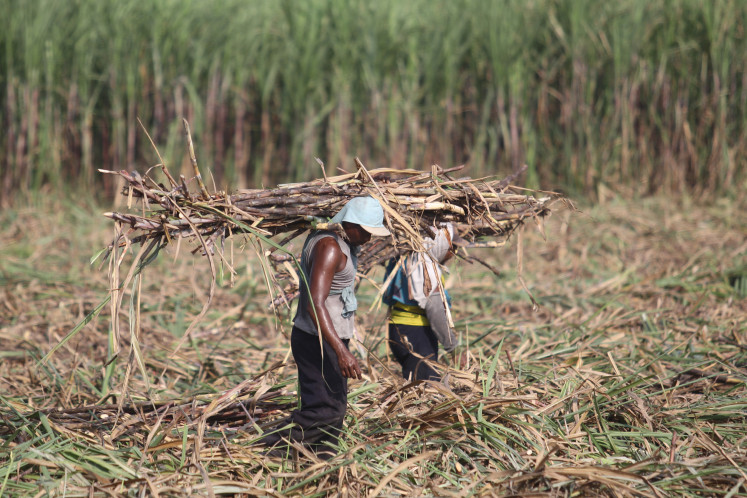 Untapped potential: Workers carry sugarcane during a harvest on June 21, 2022, at Kewadungan village in Kediri, East Java.
