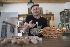 Snail breeder Andreas Gugumuck sorts snails in a basket at his 'Wiener Schnecken' snail farm in Vienna on June 18, 2022.