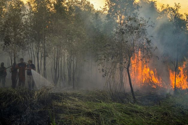 Burning issue: Firefighters battle a blaze at a peatland forest in Ogan Ilir, Riau on July 31, 2021. Forest and land fires are the main source of carbon emissions in Indonesia.