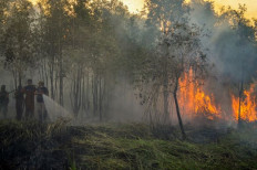 South Sumatra court dismisses peatland fires lawsuit
