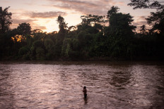 In Ecuador's Amazon, solar panels bring 'fire canoe' dream to life 