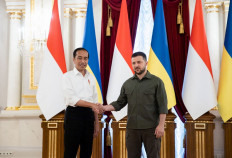 This handout picture taken and released by the Ukrainian presidential press service on June 29, 2022, shows President Joko "Jokowi" Widodo (left) and Ukrainian President Volodymyr Zelensky shaking hands during a press conference as part of their talks in Kyiv. 