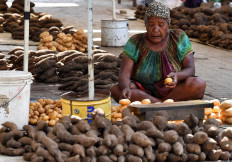 This file picture taken on November 19, 2018 shows a vendor selling vegetables waiting for customers at a women's only makeshift market on the outskirts of Port Moresby. Women are fighting to get at least one seat in Papua New Guinea's male dominated parliament when voting opens on July 4, 2022, in a mountainous, forest-clad land scarred by gender-based violence.