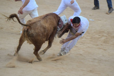 A participant is overthrown by a young cow after the 'encierro' (bull-run) of the San Fermin festival in Pamplona, northern Spain on July 7, 2022.