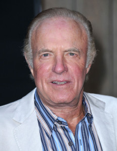 Rest in love: Actor James Caan arrives for the premiere of Mercy at the Egyptian Theatre in Hollywood, Los Angeles, the United States, on May 3, 2010. Caan, the US actor best known for playing Sonny Corleone in The Godfather, died aged 82, his manager said on Thursday.
