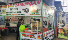 Obese and malnourished: the food future we face