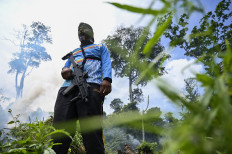 Constitutional Court rejects call to legalize medicinal marijuana