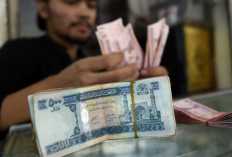 A money changer counts Afghanistan's banknotes afghani in a market in Peshawar on September 7, 2021. 
