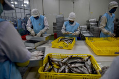 Amid global gloom, ADB ups Indonesia GDP forecast