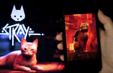 Sleeper hit: Computer and mobile phone displays show scenes from the video game Stray, a third-person cat adventure game, in Arlington, Virginia.