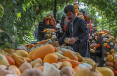 Iraqi Kurdish farmer Azad Muhamad, known as the Halabja model farmer, displays organic fresh produce at his farm near the Kurdish Iraqi town of Halabja, 300Km (190 miles) northeast of Iraq's capital, on July 6, 2022.