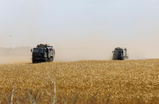 Wheat belt: Russian army trucks drive across a wheat field in the course of the Ukraine-Russia conflict near the settlement of Olenivka in the Donetsk region, Ukraine, on July 29, 2022.
