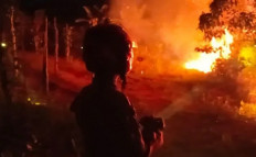 Why food estates do more harm than good and must end 