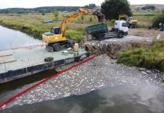 Fear for future after mass die-off of fish in Poland's Oder river