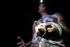 Hunting pythons in Florida, for profit and therapy
