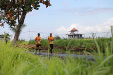 Runners are treated to a view of Gianyar’s sceneric landscapes.