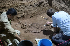 Ancient skeleton found in Kalimantan reveals amputation surgery 31,000 years ago
